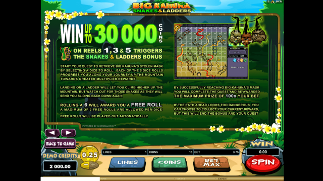 Big Kahuna Snakes And Ladders 4